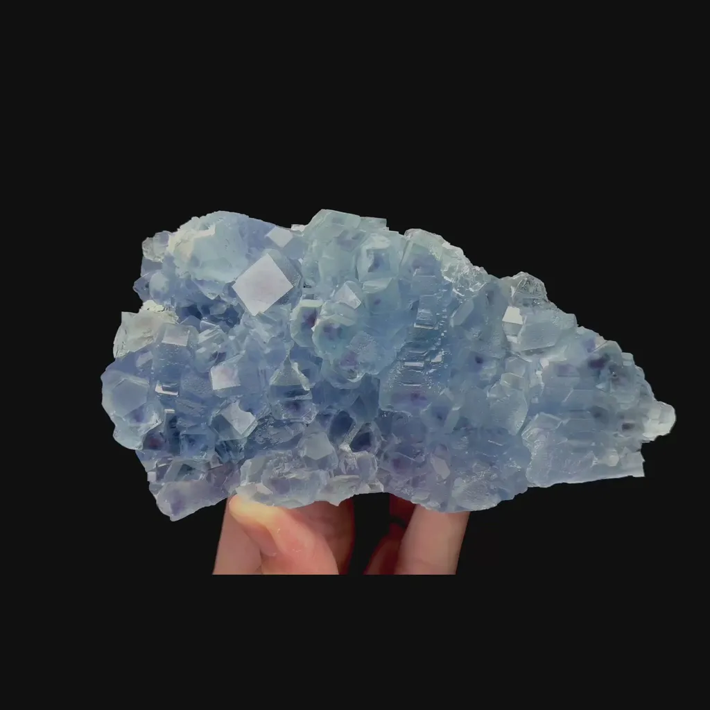 specimen video
