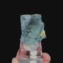 specimen video