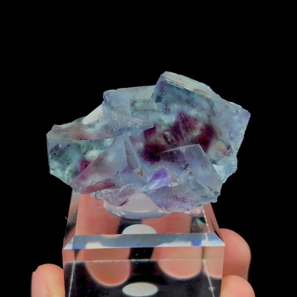 specimen video