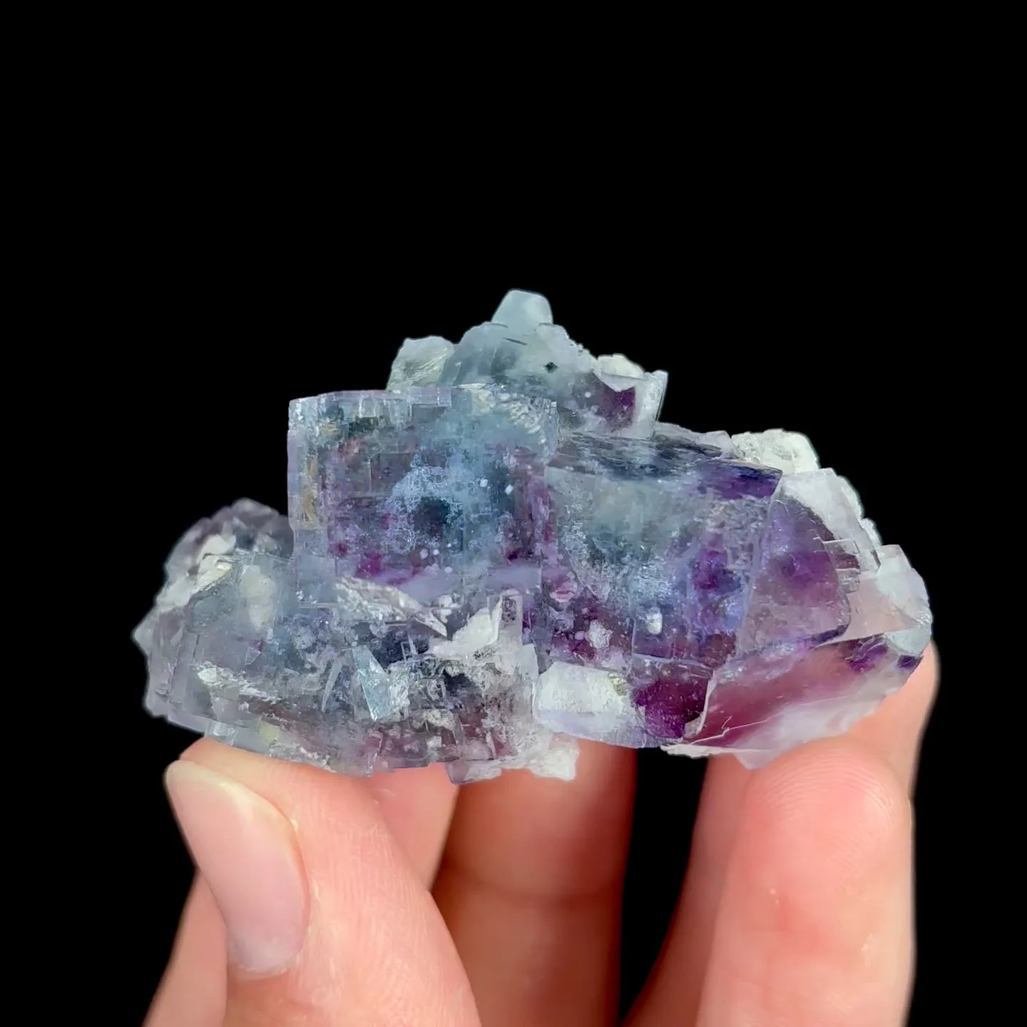 specimen video