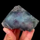 specimen video