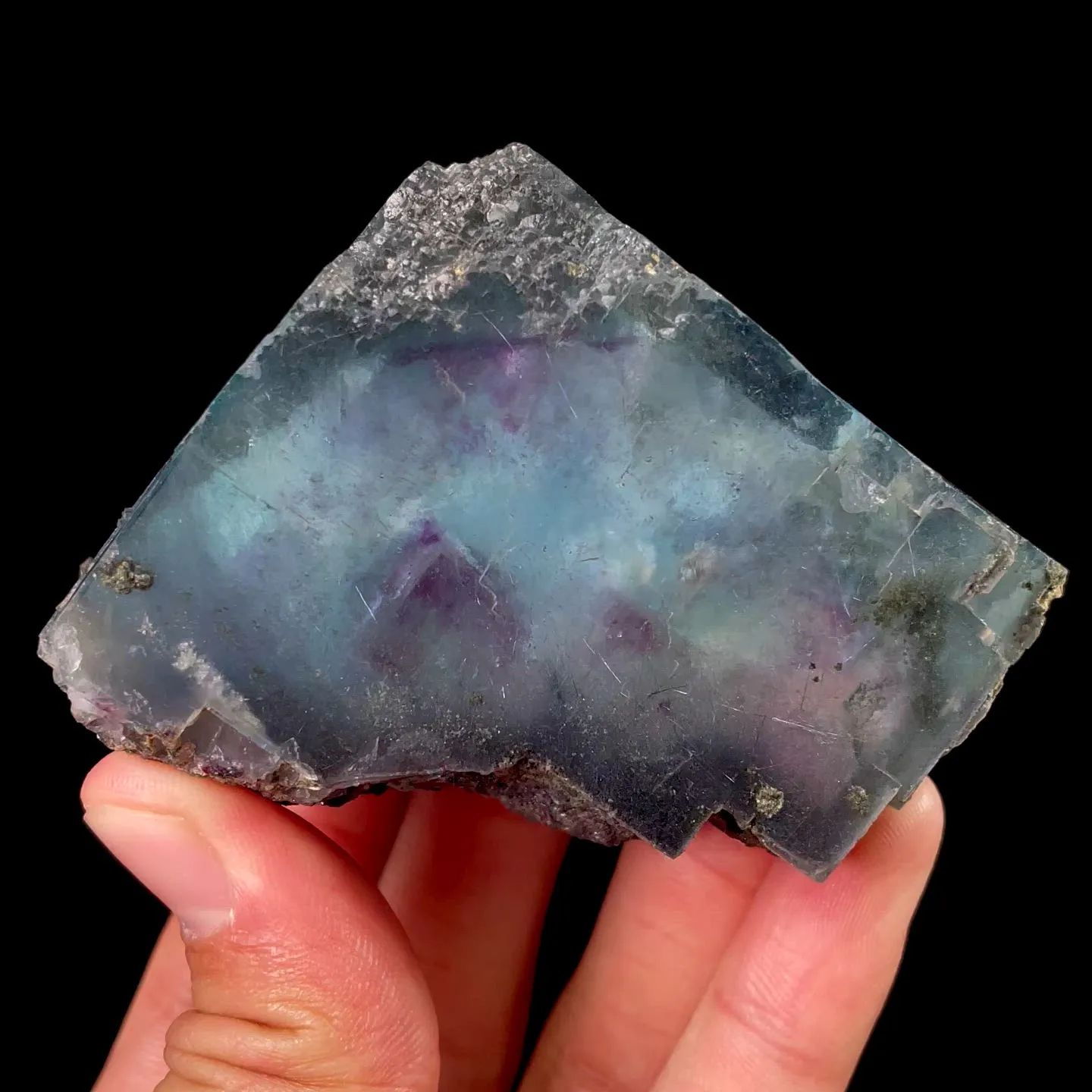 specimen video