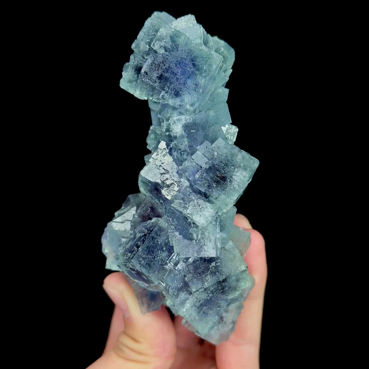 specimen video