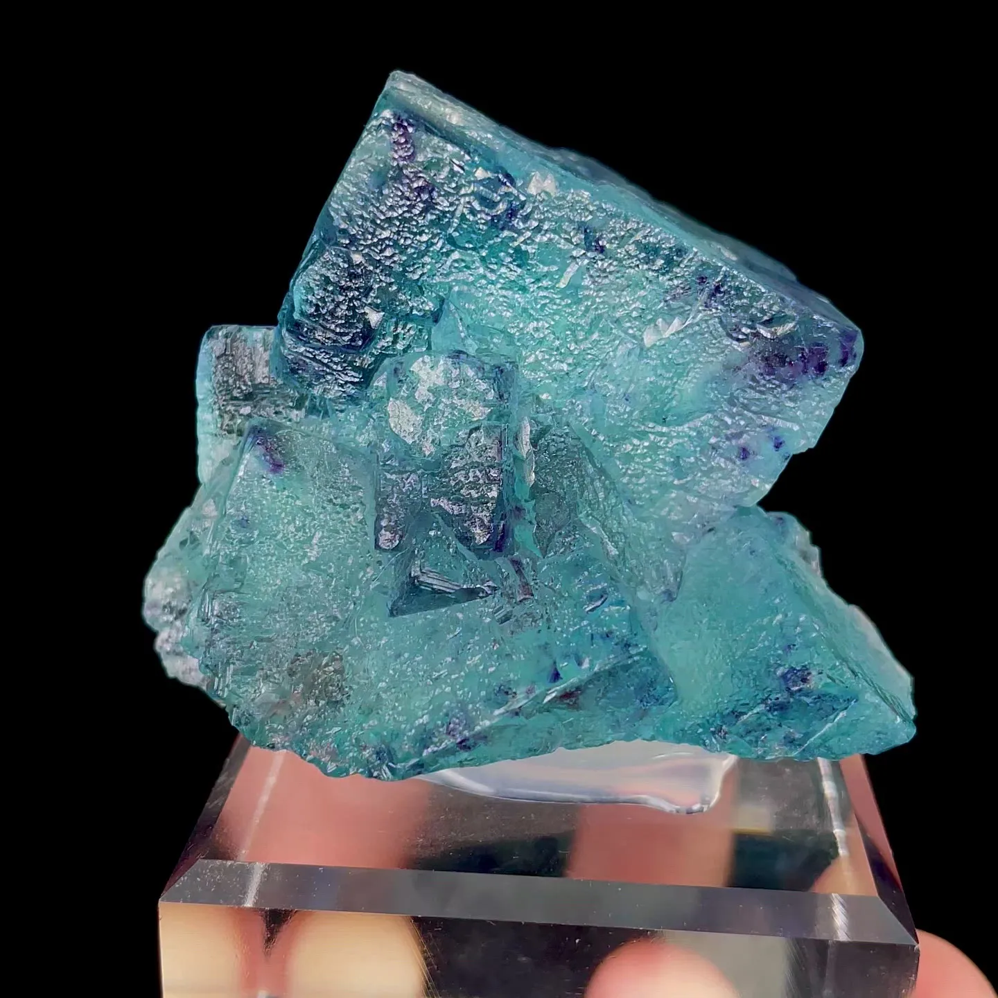 specimen video