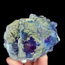 specimen video