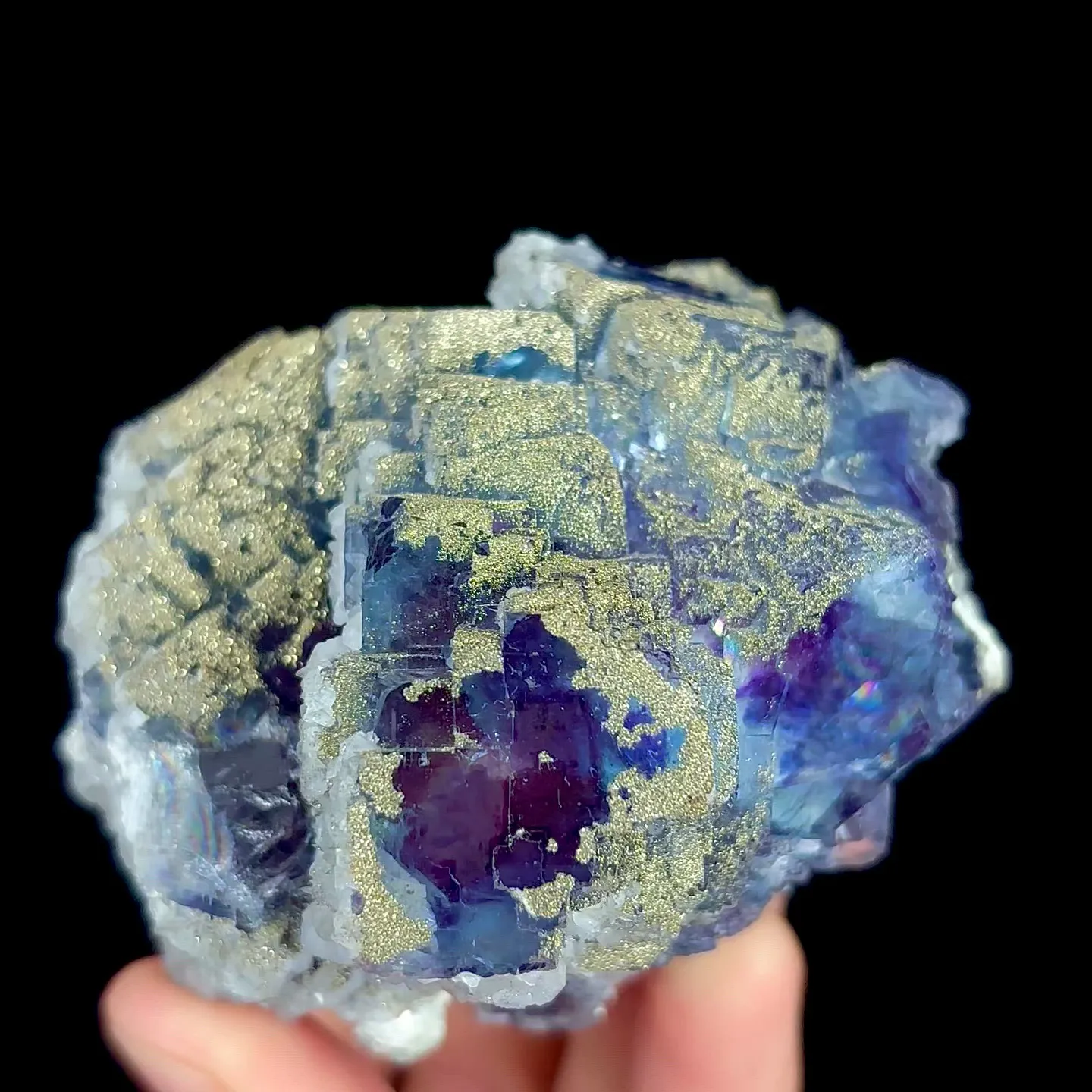 specimen video