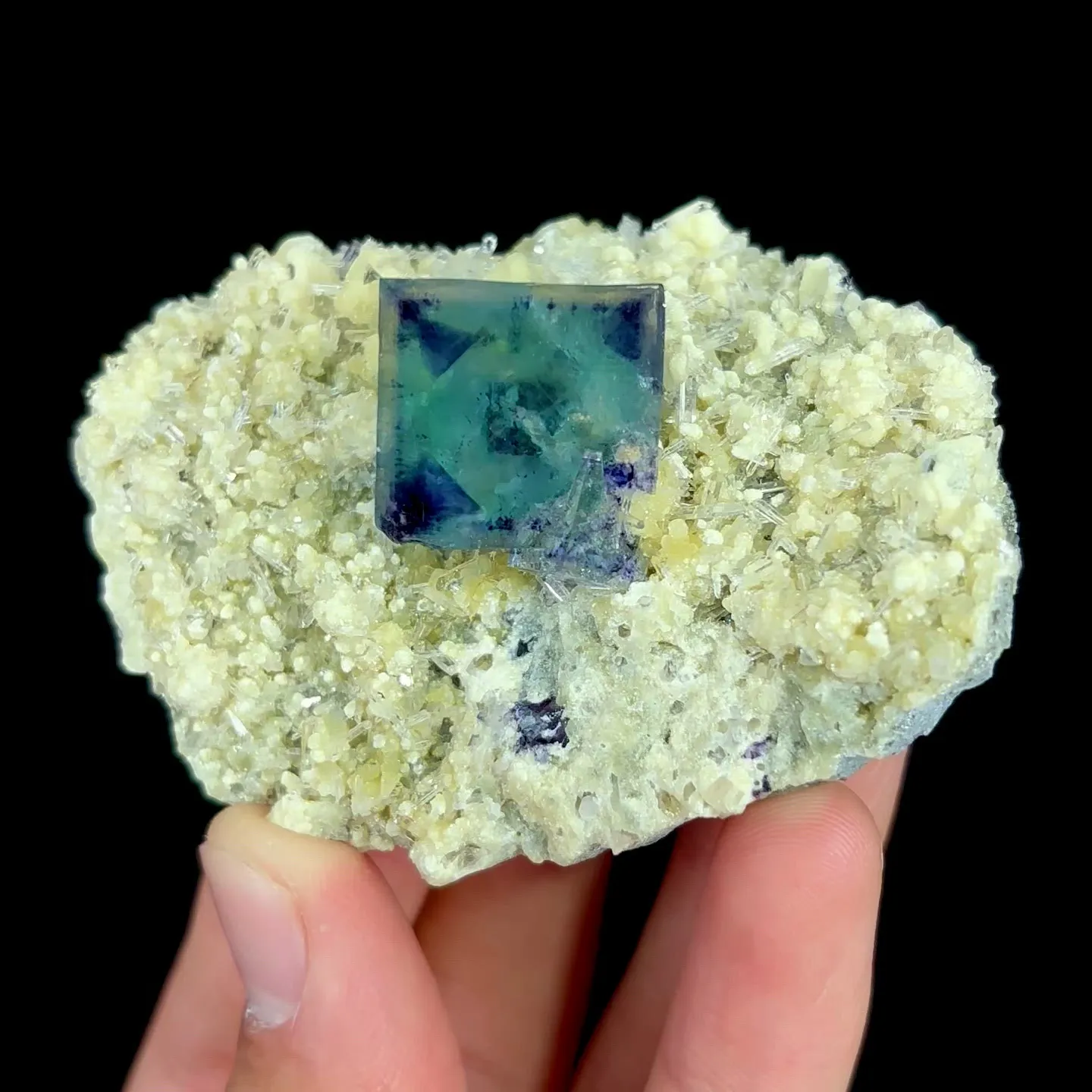 specimen video