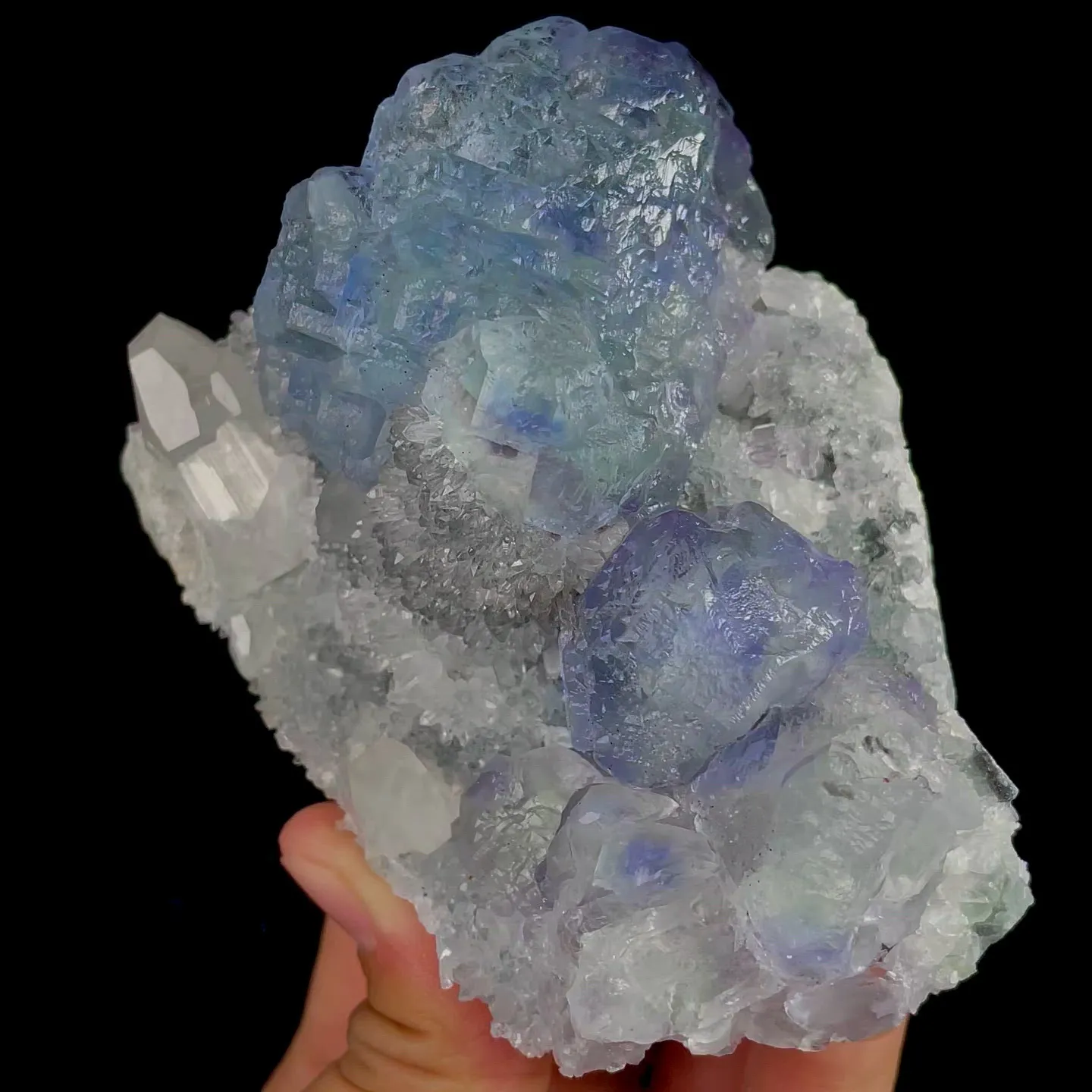 specimen video