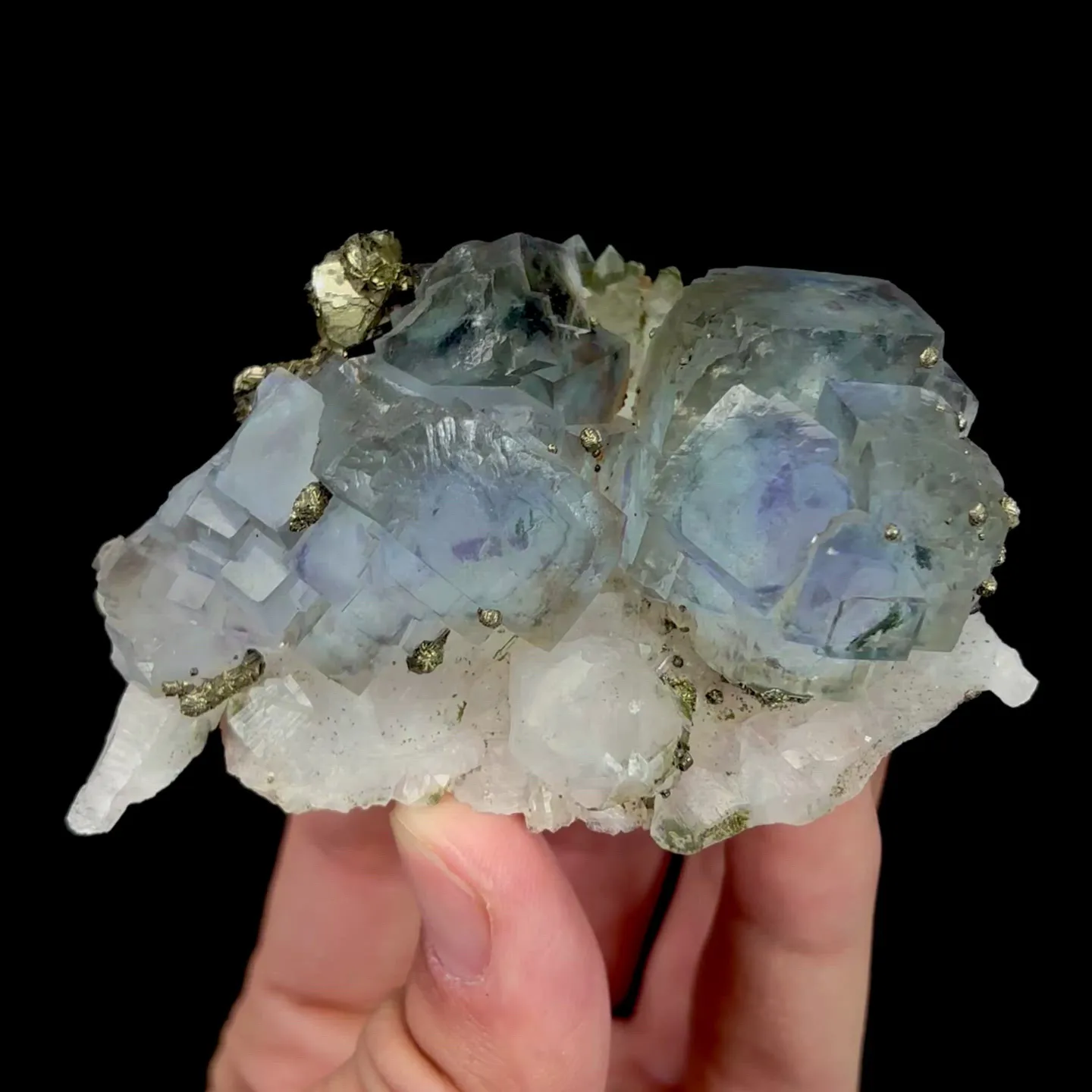 specimen video