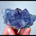 specimen video