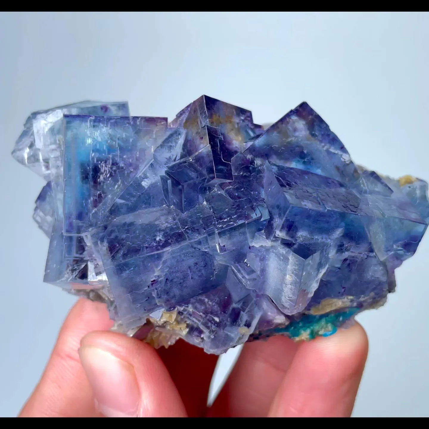 specimen video