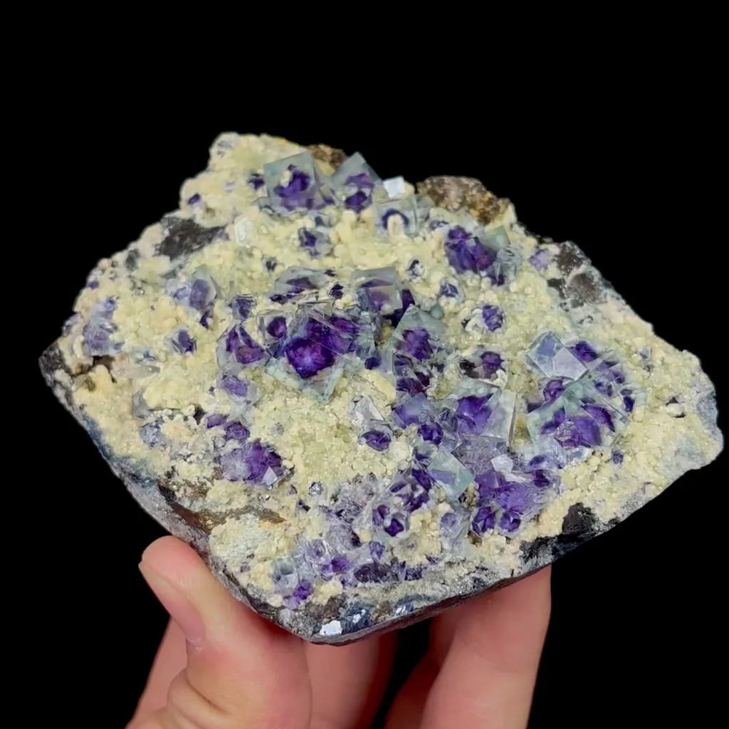 specimen video