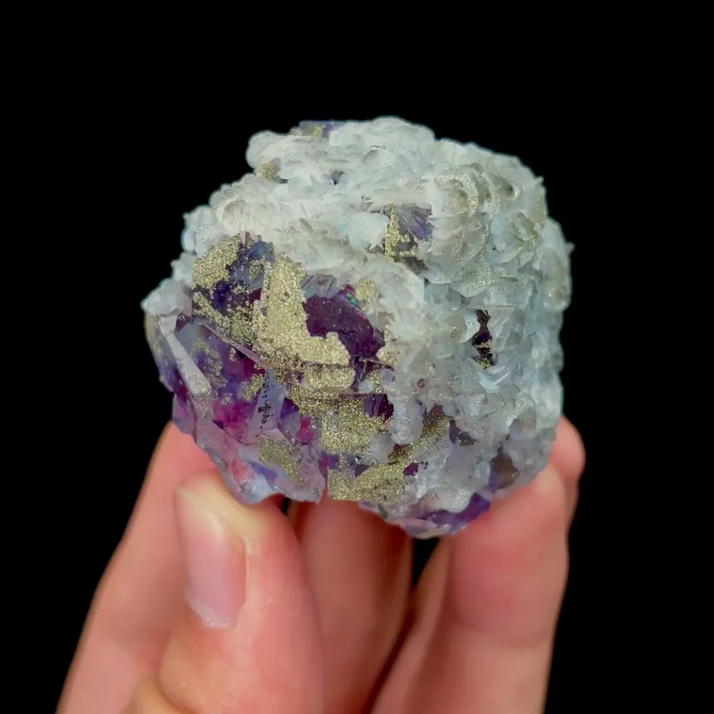 specimen video
