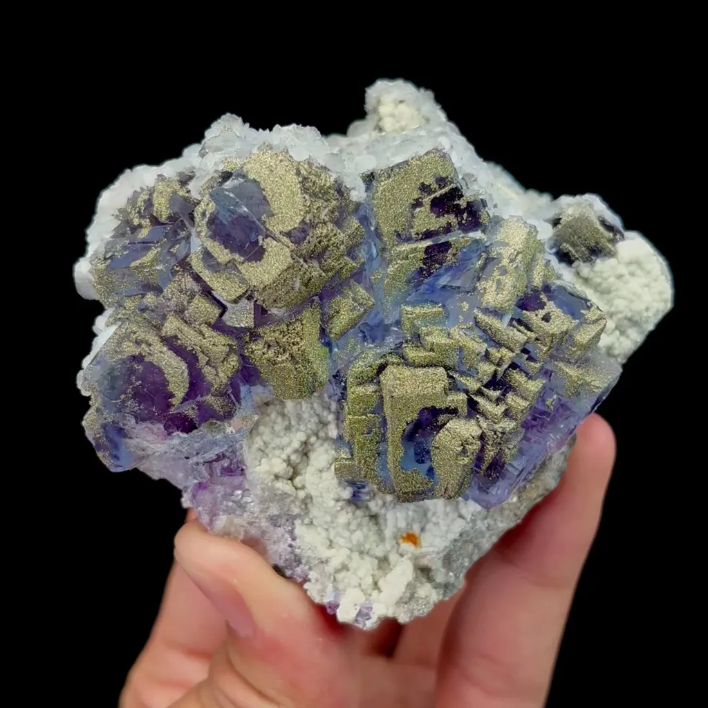 specimen video