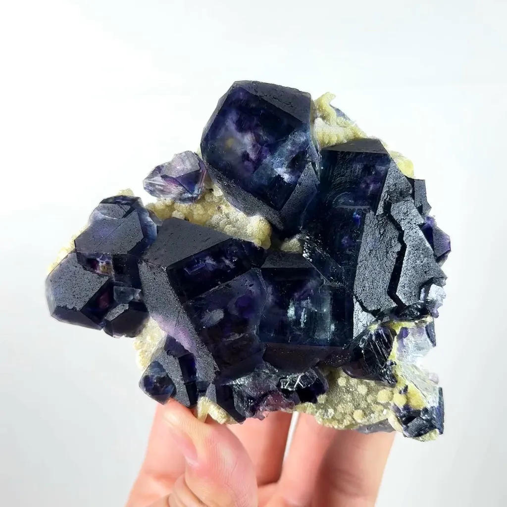 specimen video