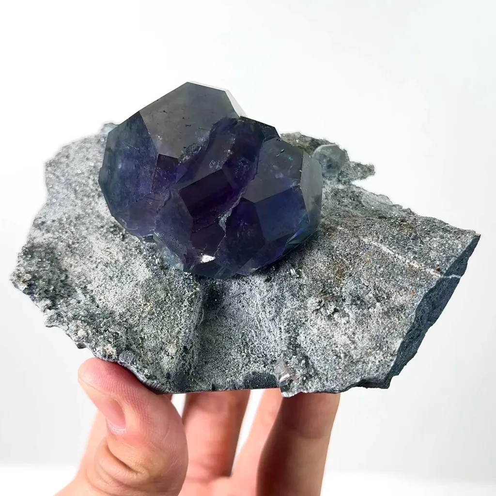 specimen video