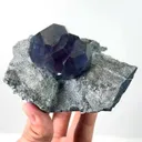 specimen video