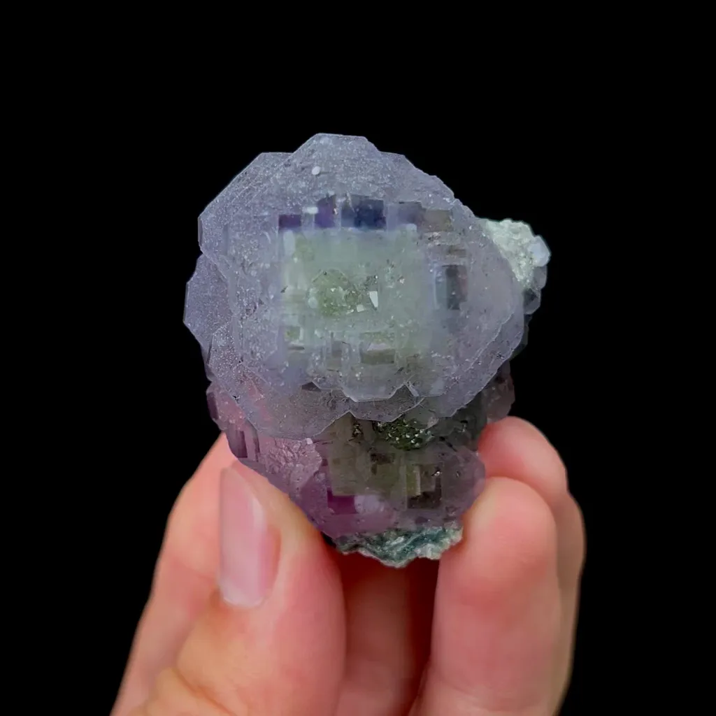 specimen video