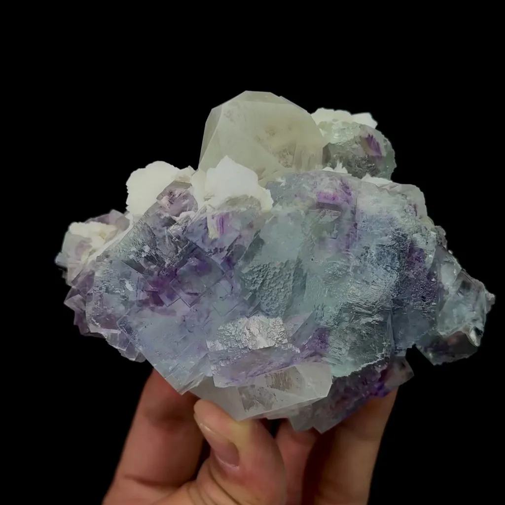 specimen video
