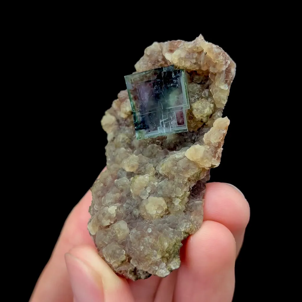 specimen video