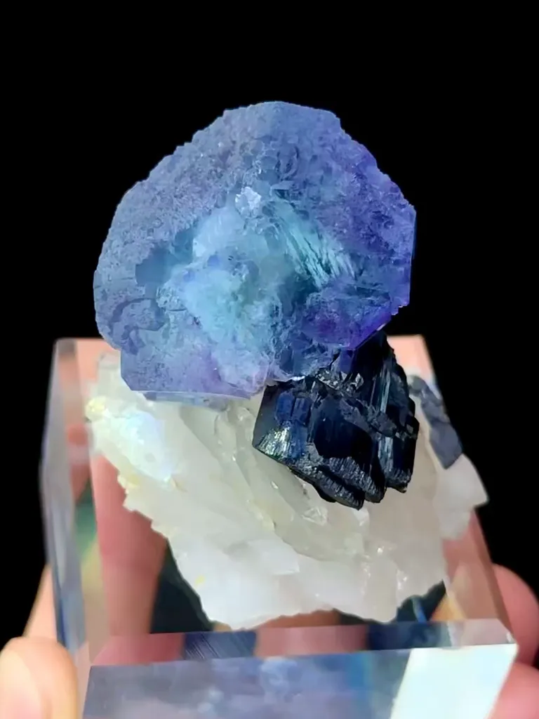 Natural Blue Purple Phantom Fluorite and Crystal Coexist with Wolframite comes from Yaogangxian,Hunan 45*35*45MM image