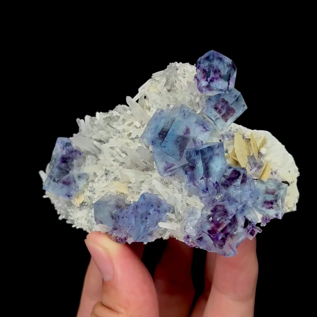 specimen video