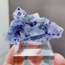 Natural Blue Purple Phantom Fluorite comes from Yindu,Inner Mongolia 45*15*22MM - image 4