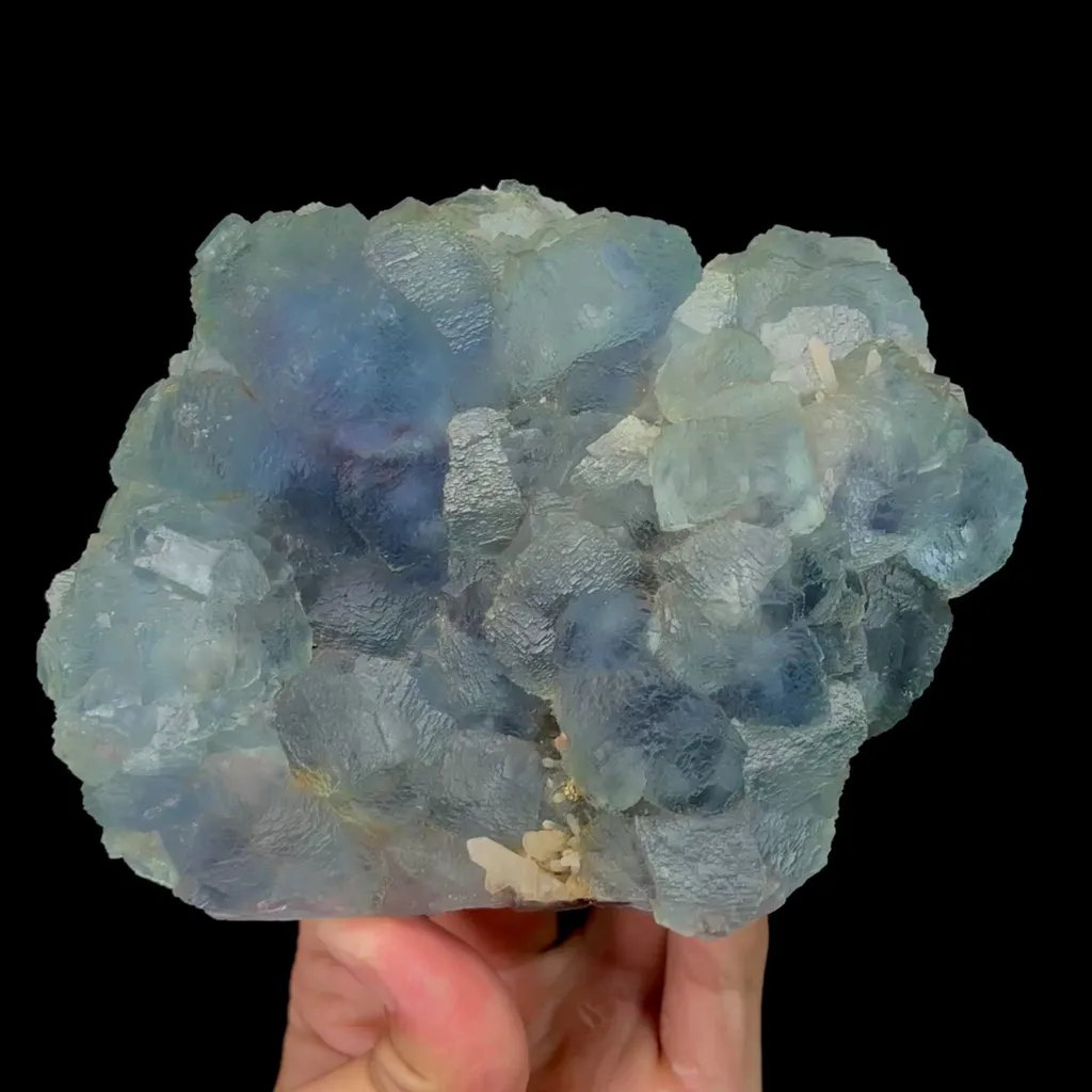 specimen video
