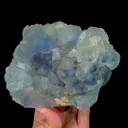 specimen video