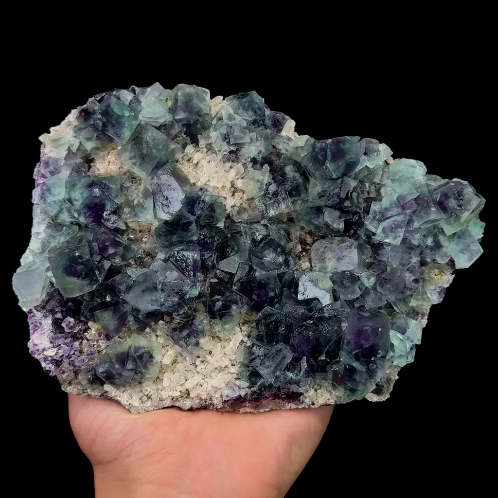 specimen video