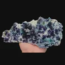 specimen video