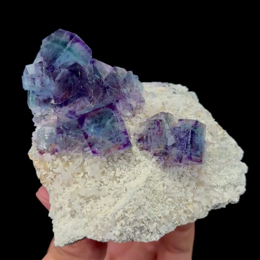 specimen video