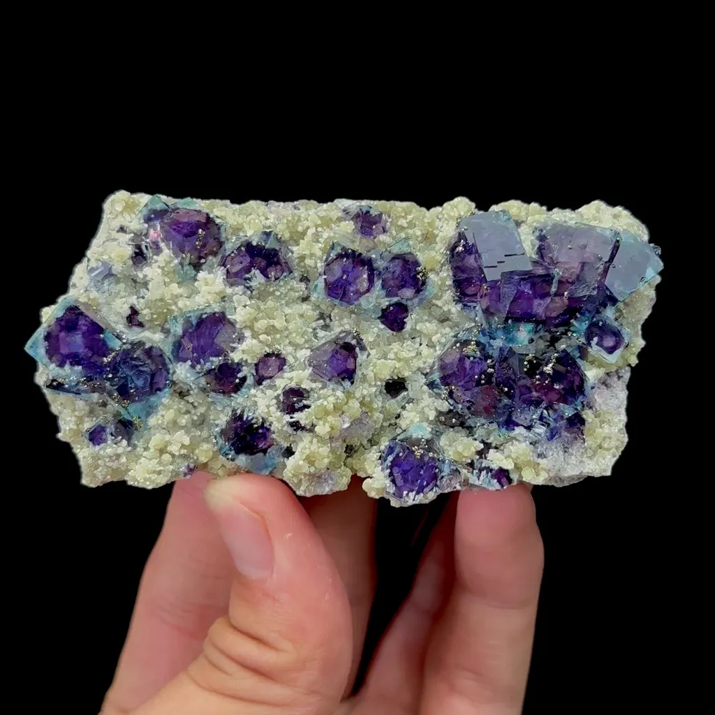 specimen video