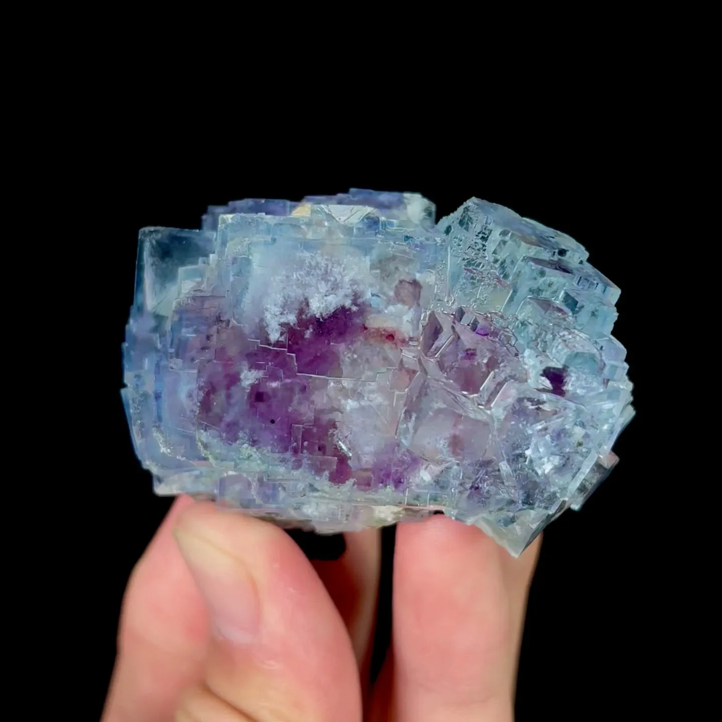 specimen video