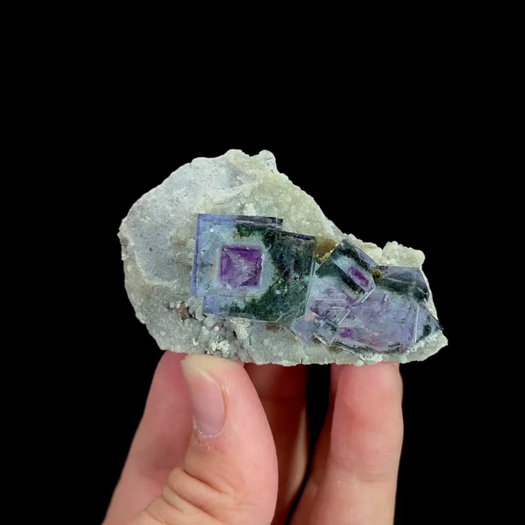 specimen video