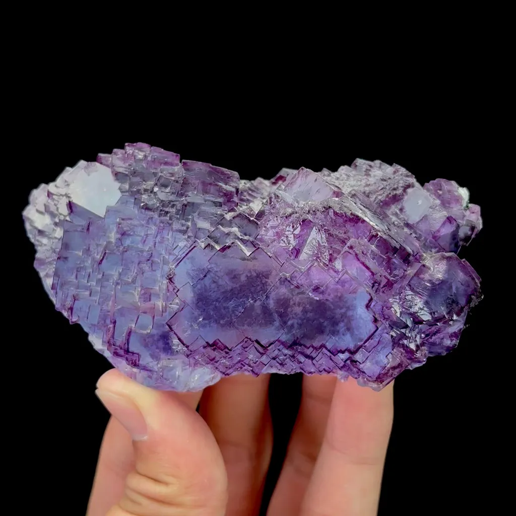 specimen video