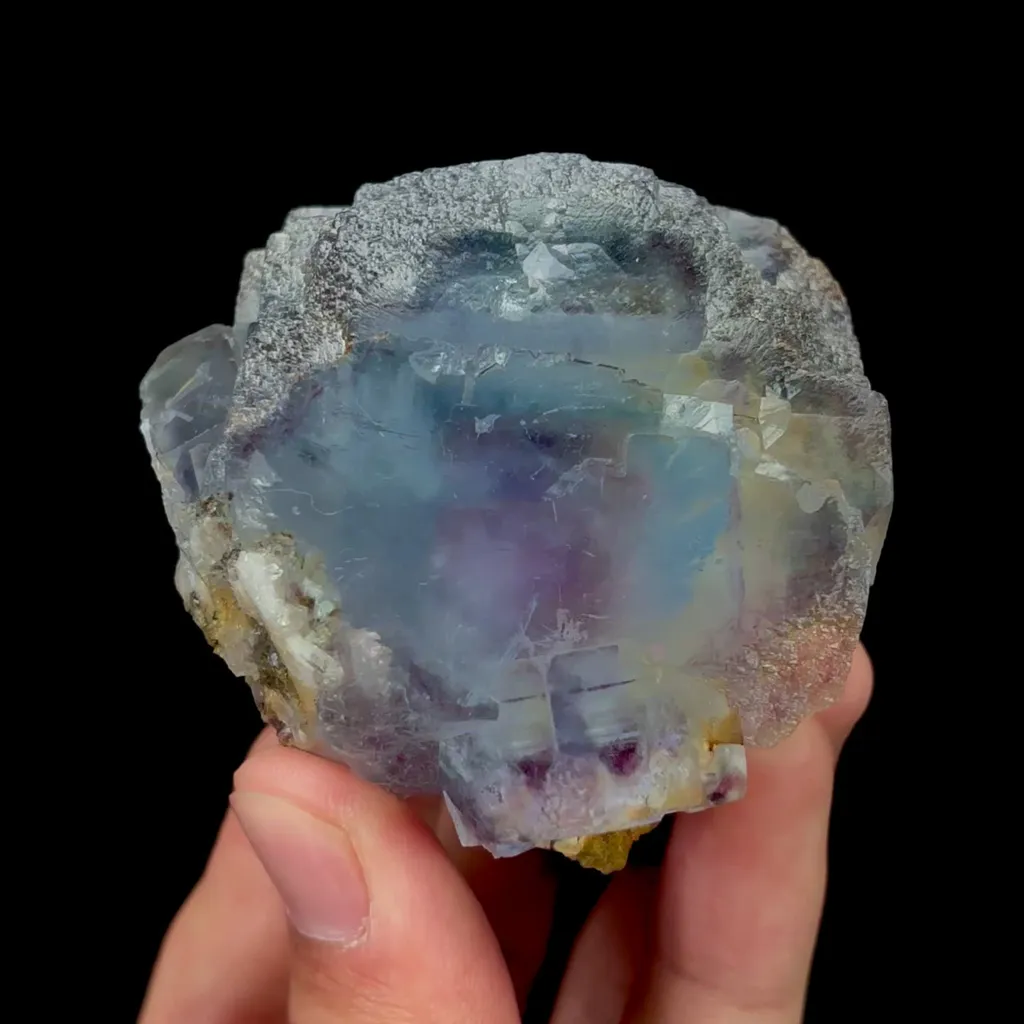 specimen video