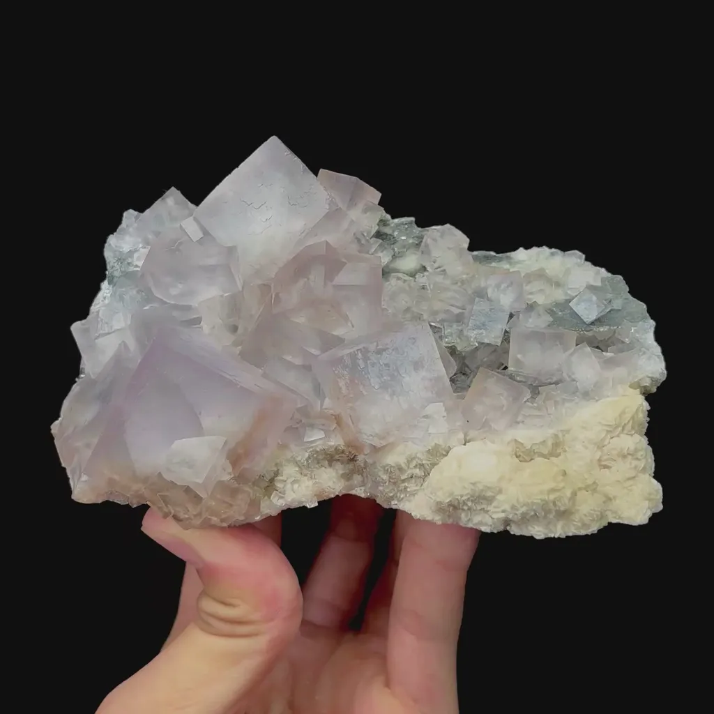 specimen video