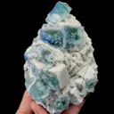 specimen video
