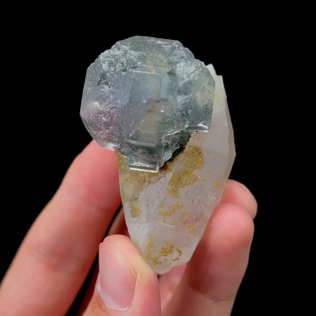 specimen video