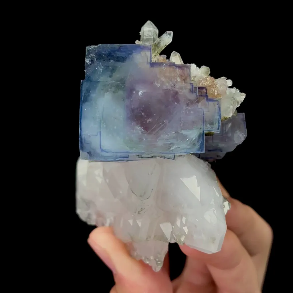 specimen video
