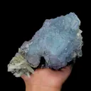 specimen video