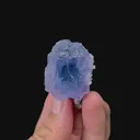 specimen video