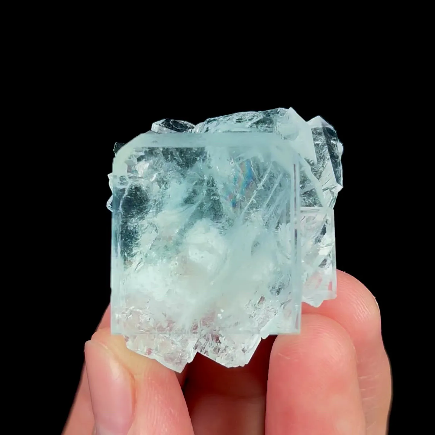 specimen video