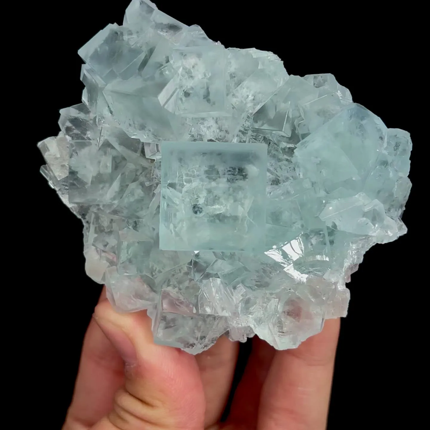 specimen video