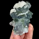 specimen video