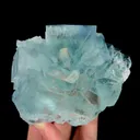 specimen video