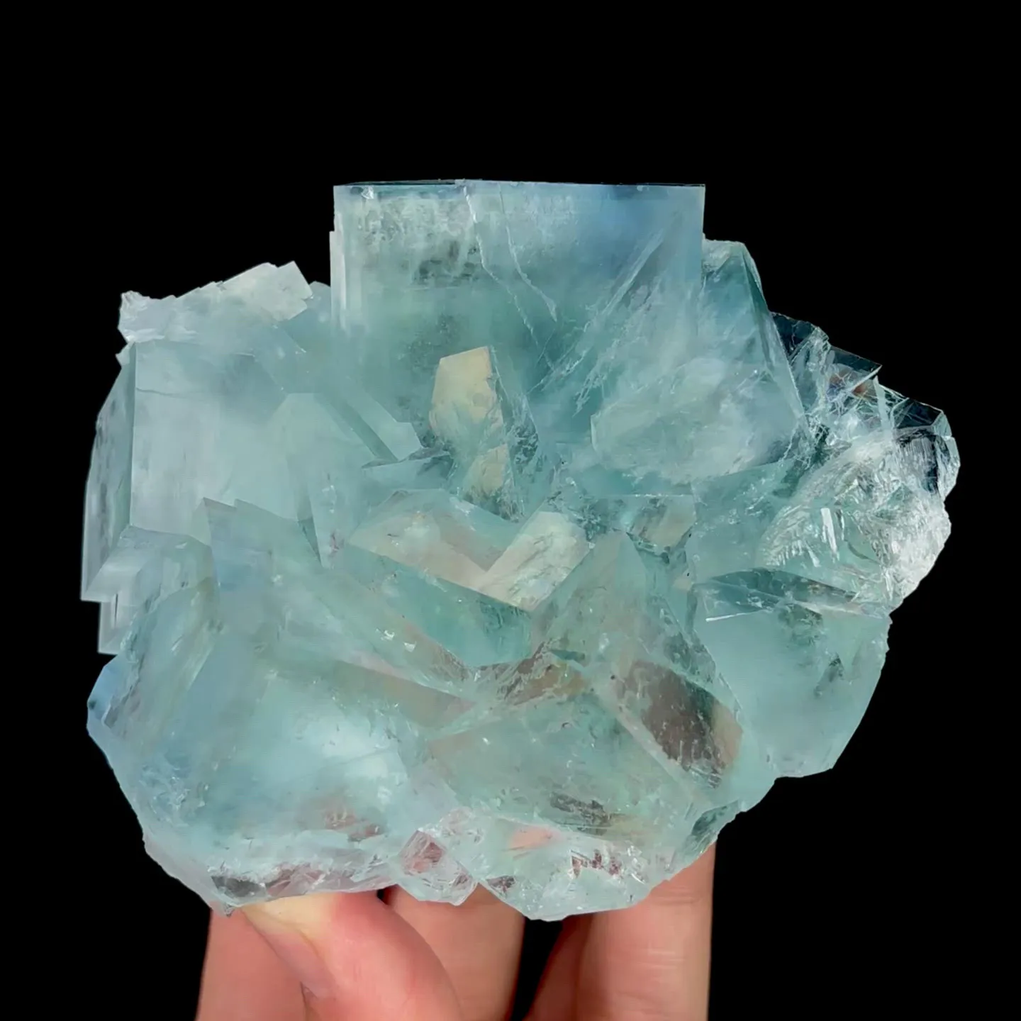 specimen video