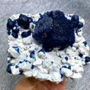 specimen video