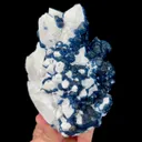 specimen video